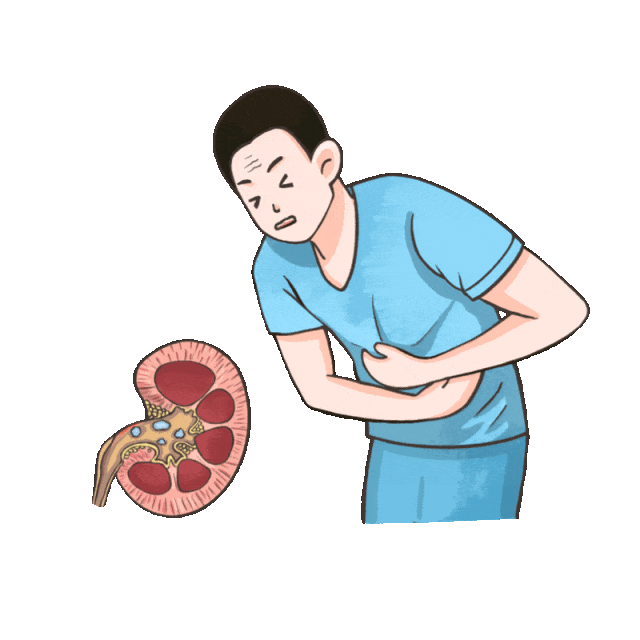 肾结石用药物能排掉吗?小心结石没走,肾先受了伤!【四川肾结石专科医院】(图2) 肾结石用药物能排掉吗?小心结石没走,肾先受了伤!【四川肾结石专科医院】(图2)